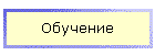 Обучение
